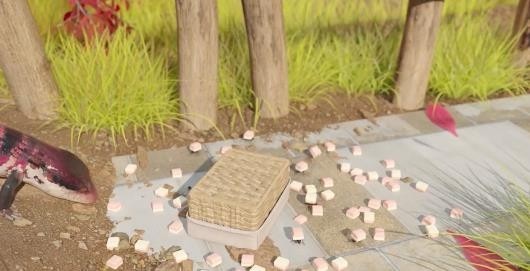 小小蚁国国际版