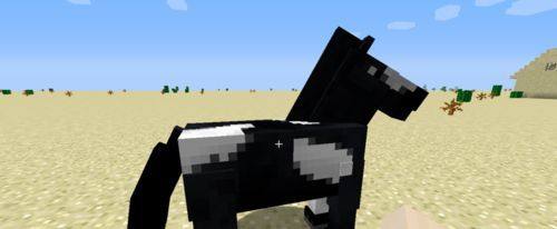 我的世界java国际版