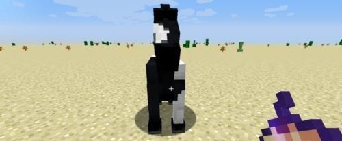 我的世界国际版最新版1.21