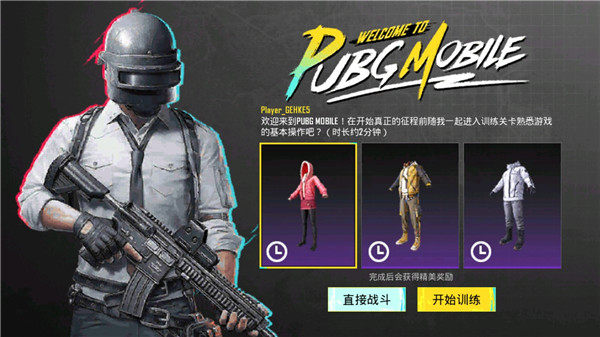 pubg国际版