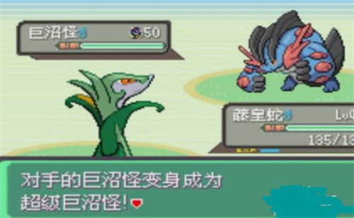 口袋妖怪究极绿宝石中文版