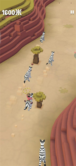 疯狂动物园国际服2025