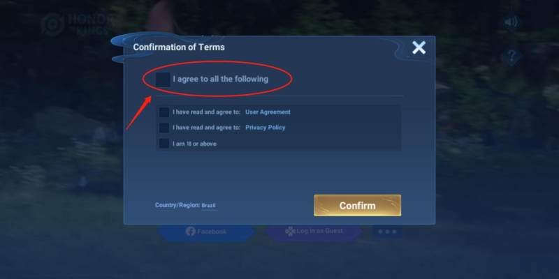 Ho<i></i>nor of Kings国际服