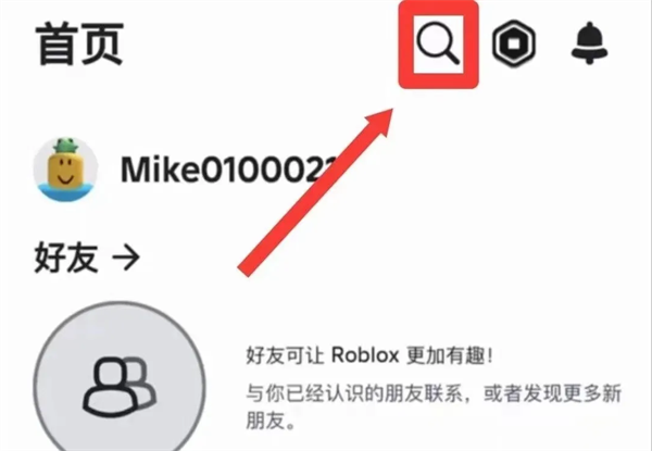 罗布乐思国际服官方版