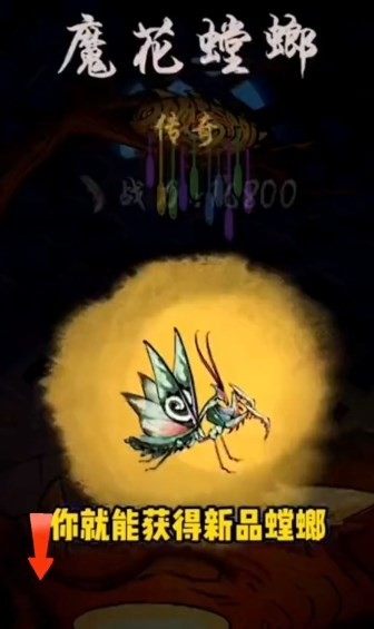 极品螳螂内置菜单