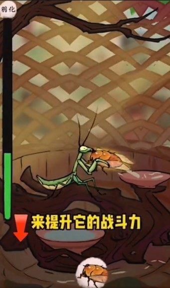 极品螳螂内置菜单