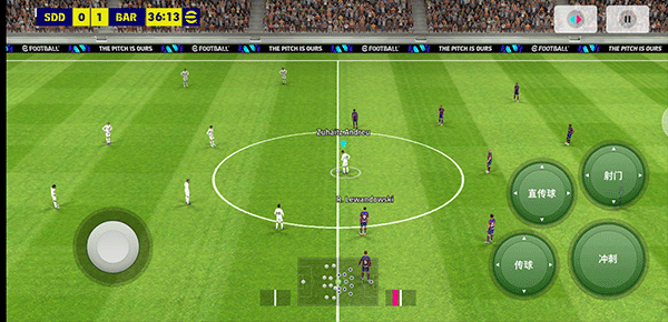 实况板球国际服