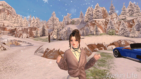 Avakin虚拟世界内置菜单