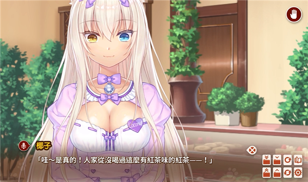 猫娘乐园4