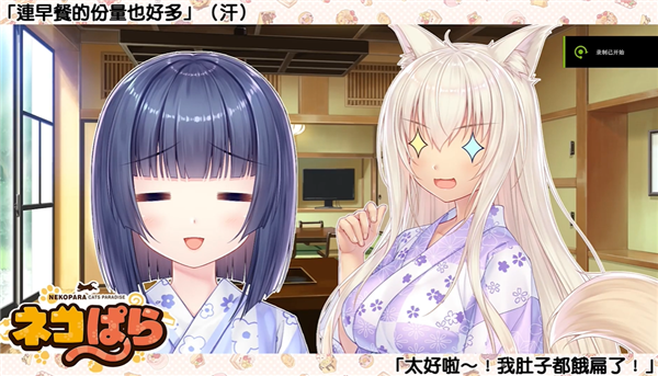 猫娘乐园4