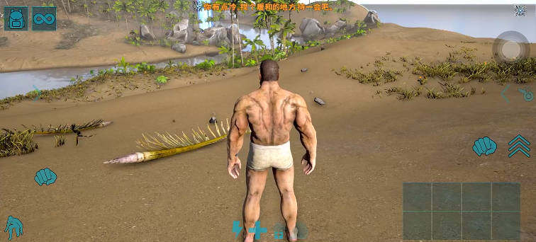 方舟生存进化2正版