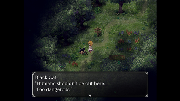 魔女之家许愿版