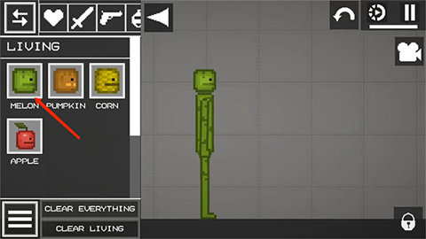 甜瓜游乐场英文版