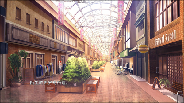 五等分的抢婚二乃篇