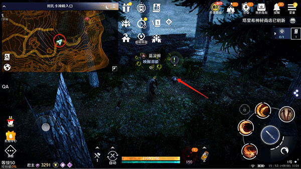 黑色沙漠国际服