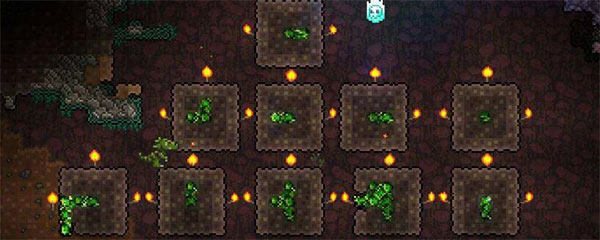 泰拉瑞亚皮皮蛙汉化版