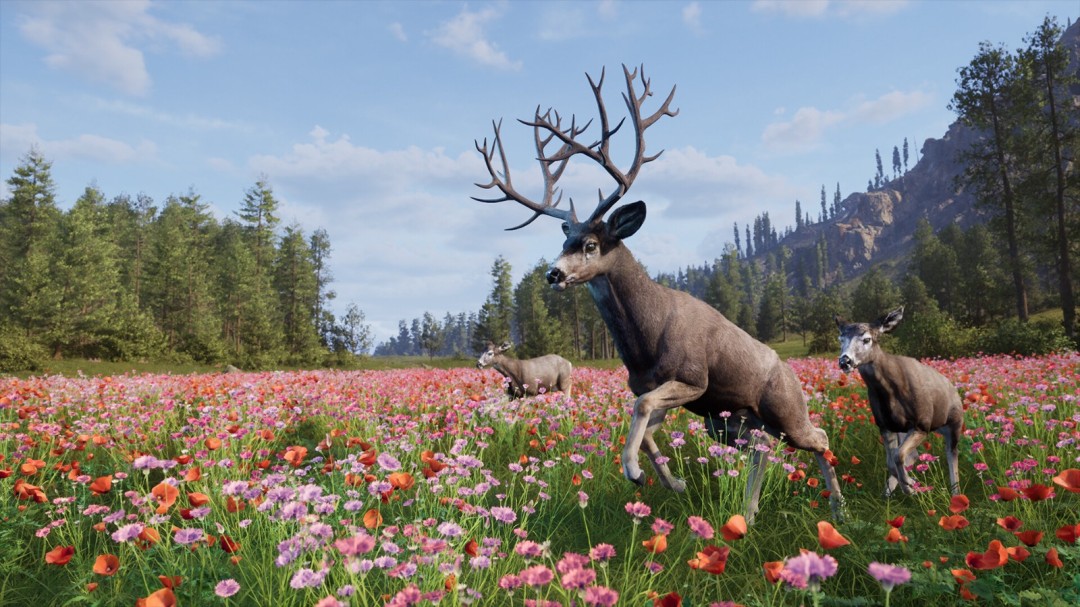 Steam新游周报：《奇异人生：重聚》登场！