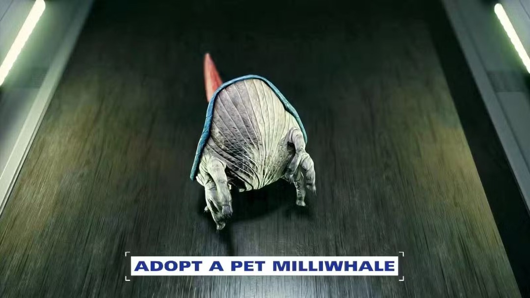 《星空》“自由航道”更新详情公布 4月7日上线