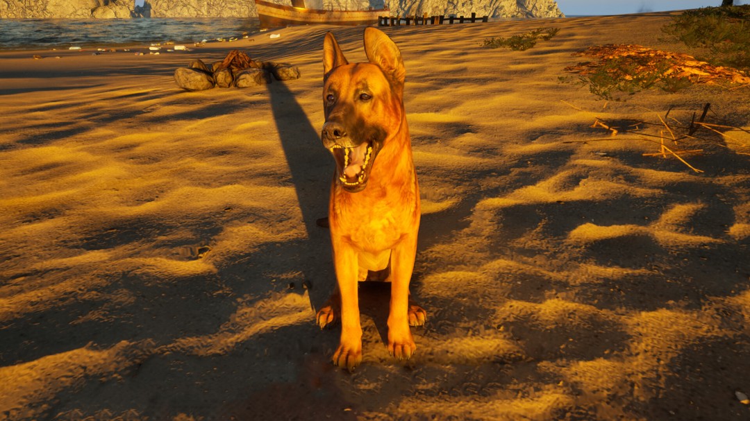 模拟新作《重建你的岛屿》今晚登Steam 首发48元